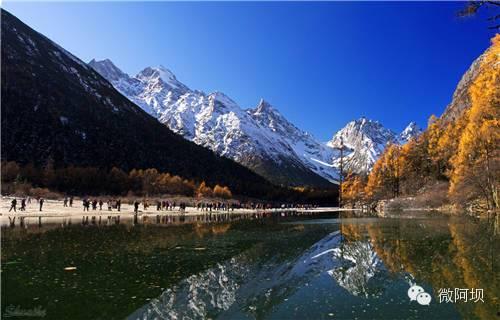 桃隐长线在线视频,揭秘神秘世界的在线视频之旅