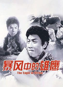 色狠爽在线视频,揭秘在线视频的激情世界