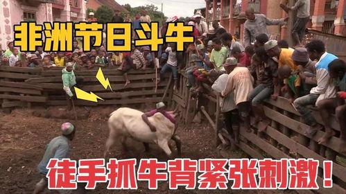 非洲刺激在线视频观看,探索非洲刺激视频盛宴